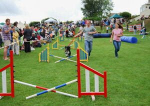 Couple with dog having a go at agility