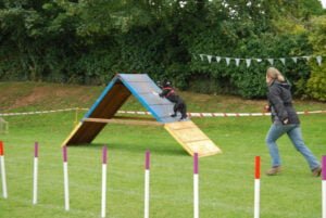 Dog and handler doing agility A Frame