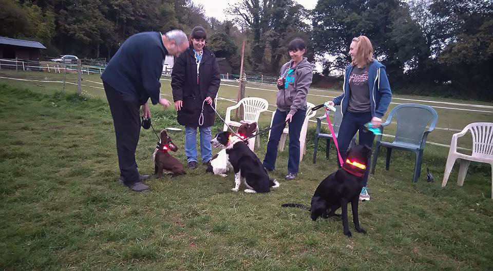 Agility class members and their dogs with night collars