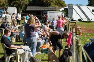 People and dogs at Quintor fun day