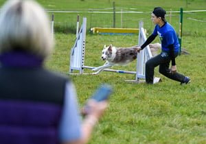 Young lad with collie going over agility jump