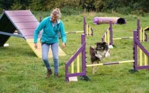 Handler with dog taking agility jump